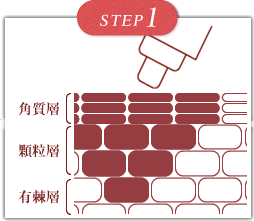 施術内容の解説