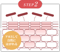 施術内容の解説