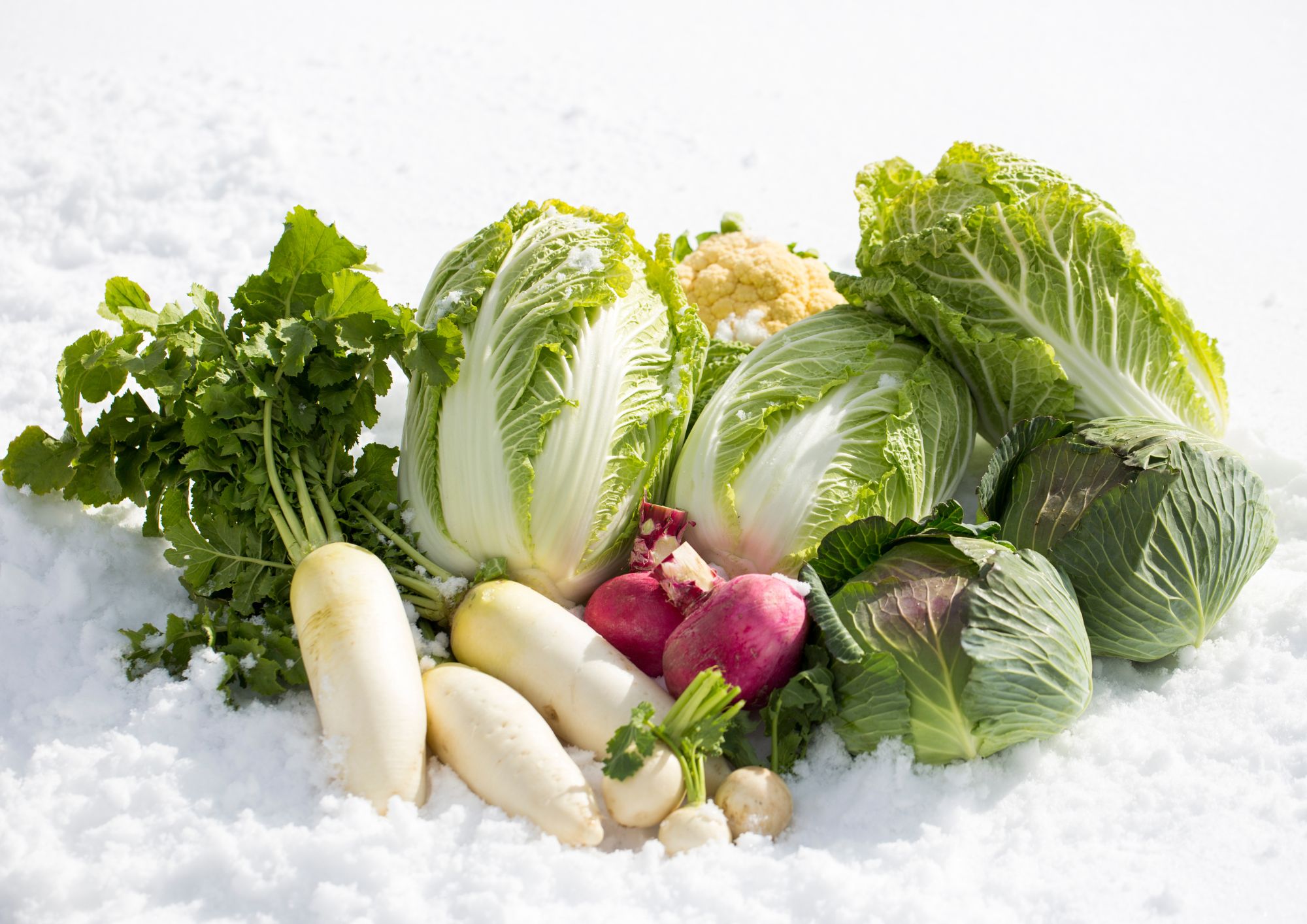 お肌が老けていく！シワ・たるみを作りだす食生活4選/4 Diet Habits that Age Your Skin!